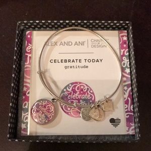 Celebrate today silver Alex and Ani